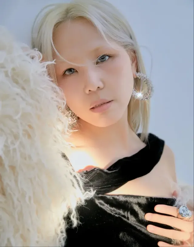 /사진=알리, 20주년 전국 투어 