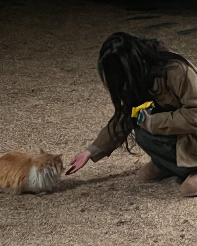 /사진=신시아 인스타그램