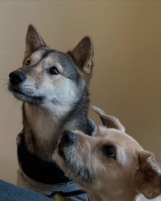 /사진=이주영 인스타그램