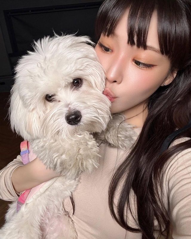 /사진=청하 인스타그램