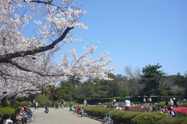 나고야의 쓰루마 공원, 일본/사진=호텔스닷컴