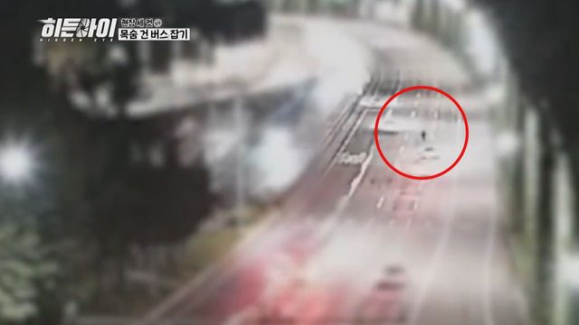 /사진=MBC 플러스