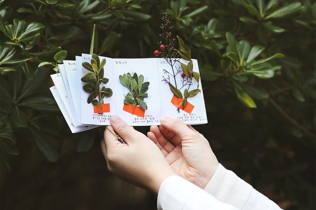 /사진=제주신화월드