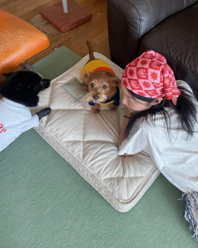 /사진=강승현 인스타그램