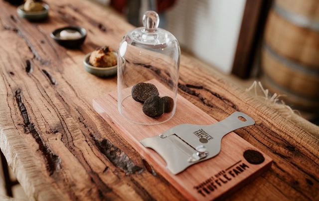 마가렛 리버 트러플 농장_서호주 마가렛 리버/사진=호주관광청