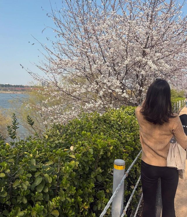 /사진=다솜 인스타그램