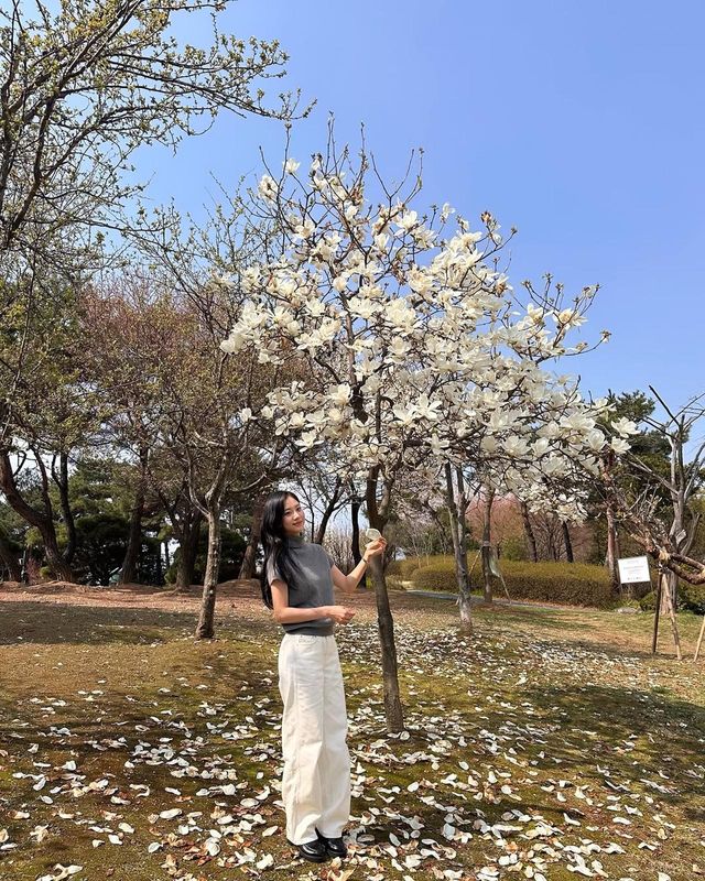 /사진=홍화연 인스타그램