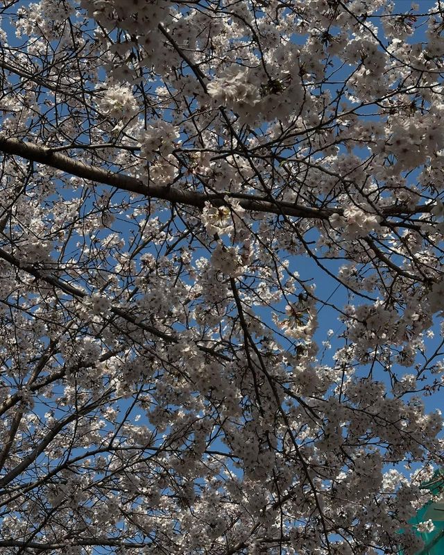 /사진=지연 인스타그램