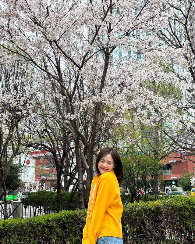 /사진=효정 인스타그램