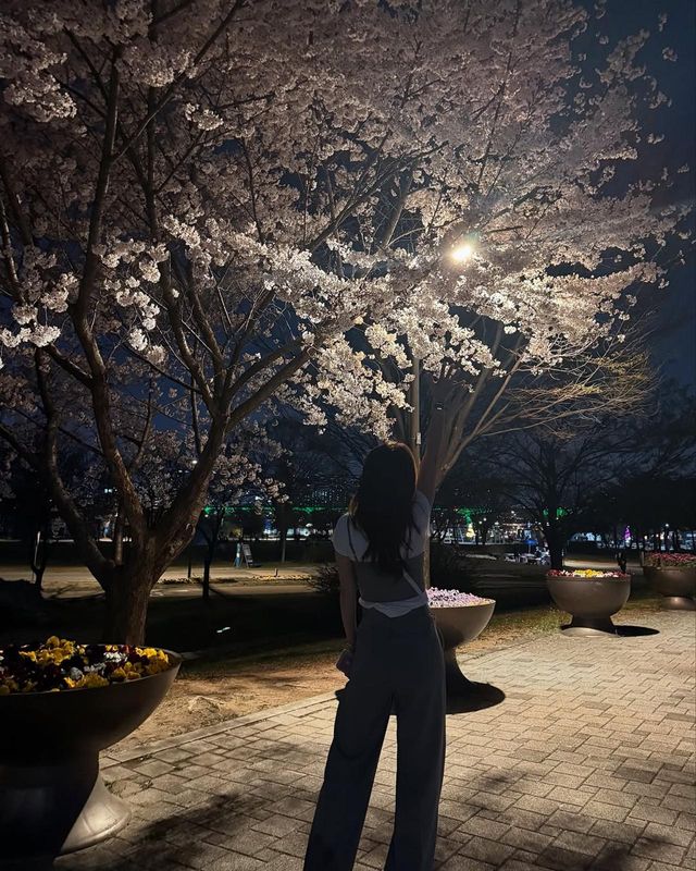 /사진=안선영 인스타그램