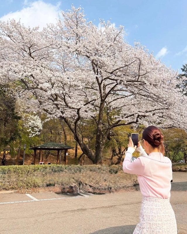 /사진=안소미 인스타그램