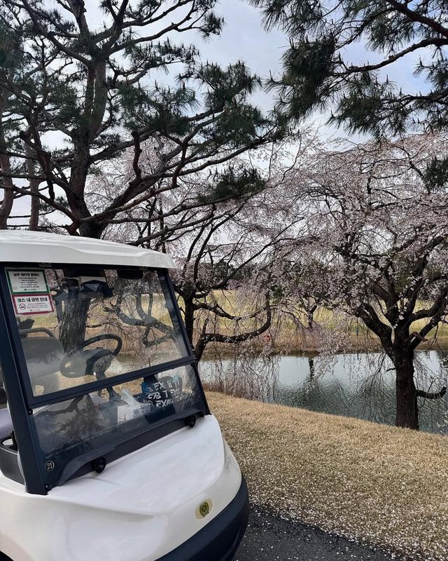 /사진=김민아 인스타그램