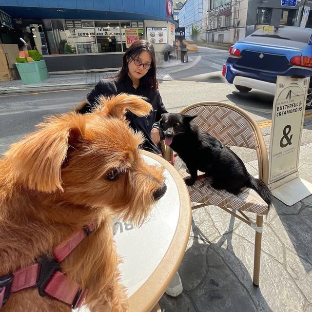 /사진=강승현 인스타그램