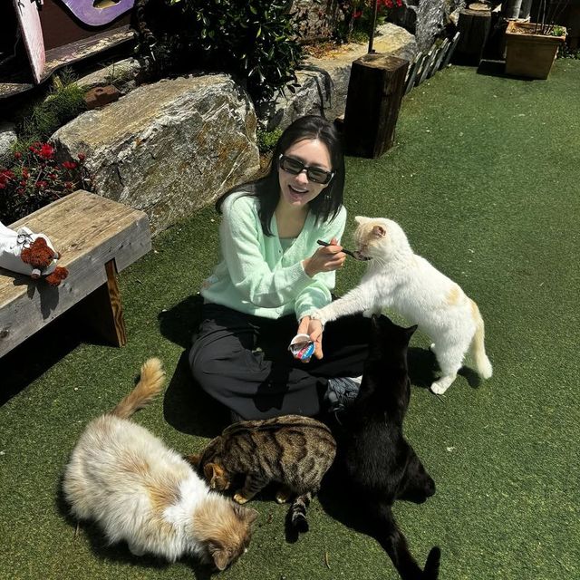 /사진=이유빈 인스타그램