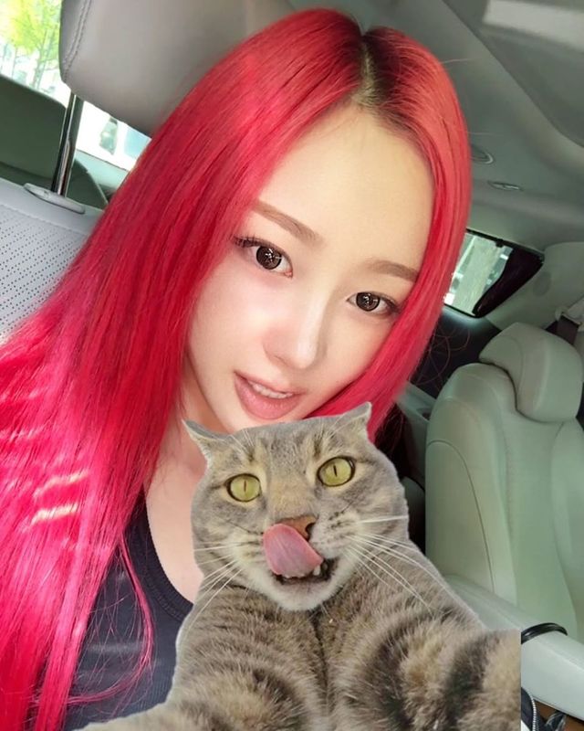 /사진=지젤 인스타그램