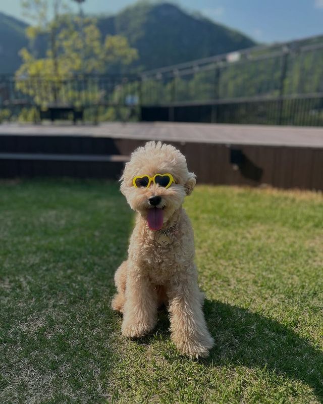 /사진=설하윤 인스타그램