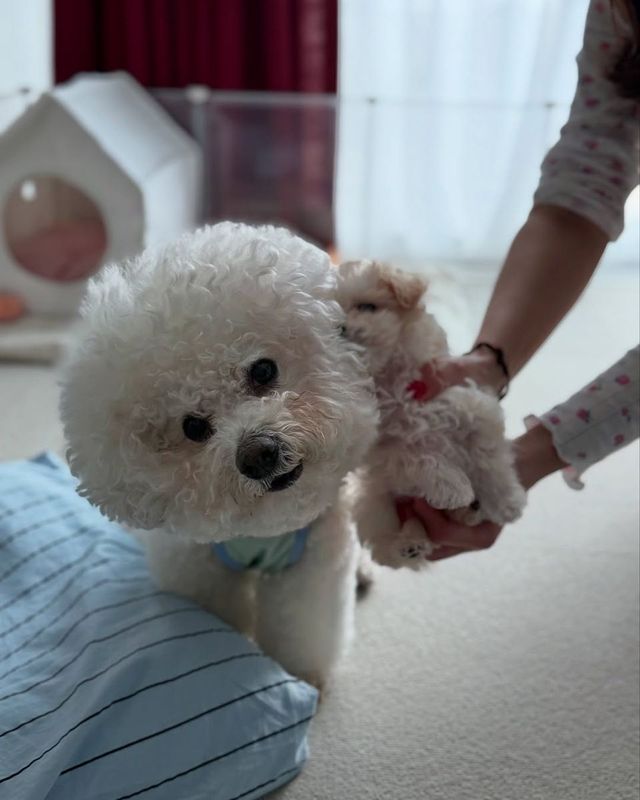 /사진=기은세 인스타그램