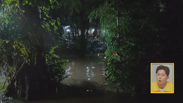 /사진=MBC에브리원 '위대한 가이드2'