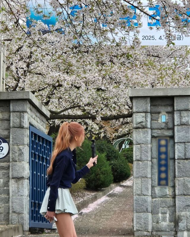 /사진=있지 인스타그램