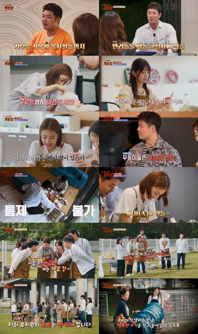 사진=JTBC ‘집 나가면 개호강’