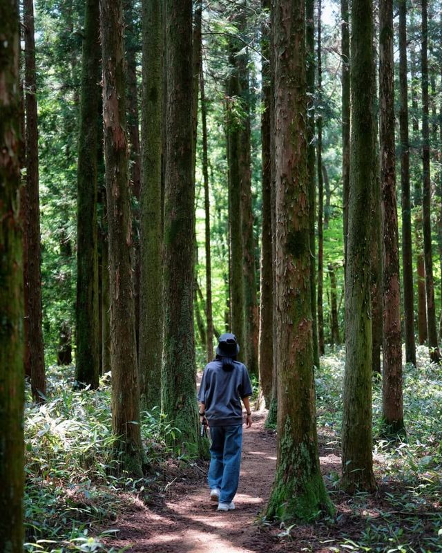 /사진=문정희 인스타그램