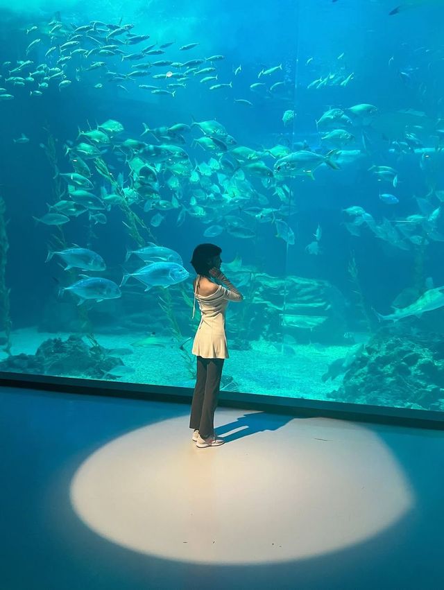 /사진=이해인 인스타그램