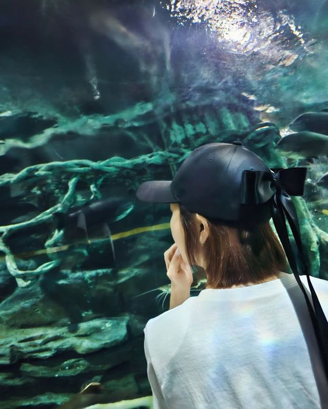 /사진=심은진 인스타그램