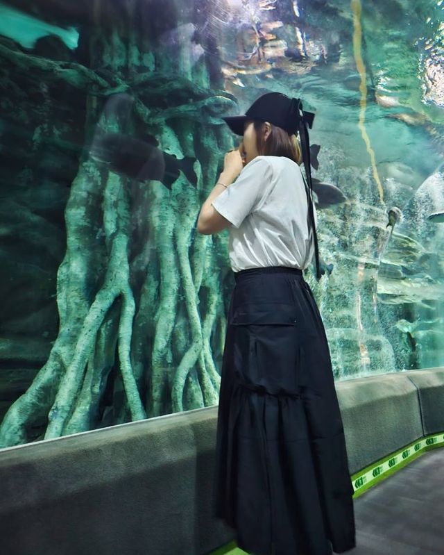 /사진=심은진 인스타그램