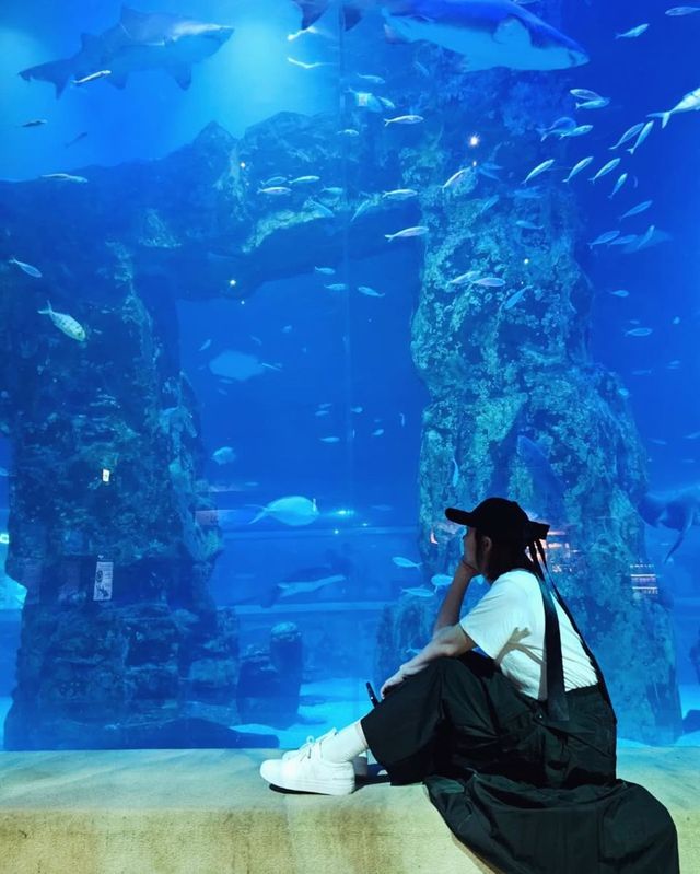 /사진=심은진 인스타그램