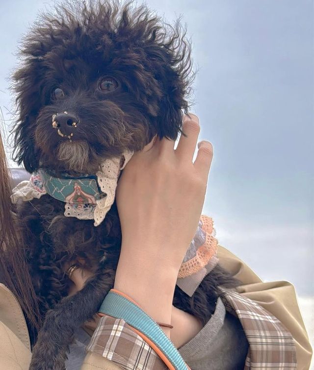 /사진=서동주 인스타그램