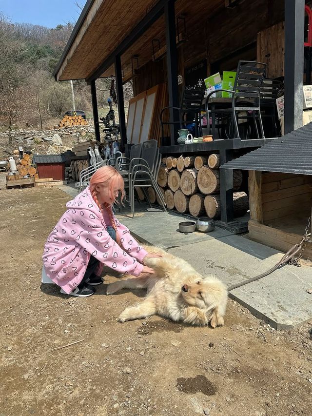 /사진=아이브 리즈 인스타그램