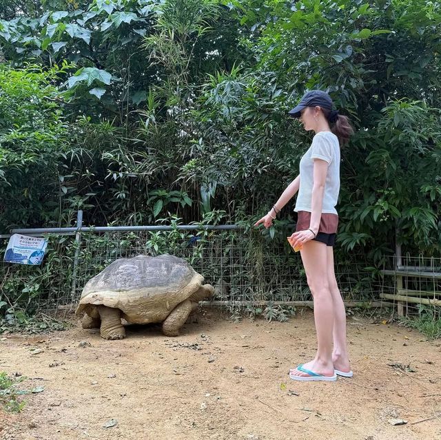 /사진=에스파 지젤 인스타그램