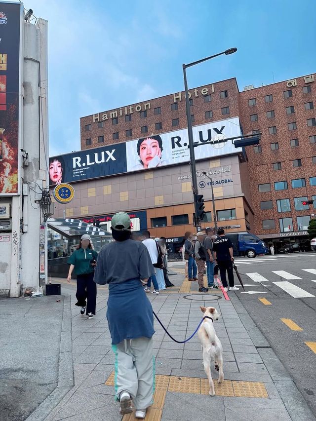 /사진=김고은 인스타그램