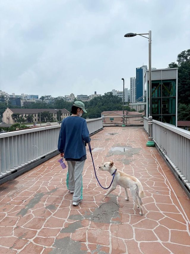 /사진=김고은 인스타그램