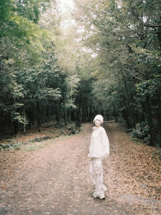 /사진=이유비 인스타그램