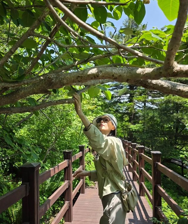 /사진=이영애 인스타그램