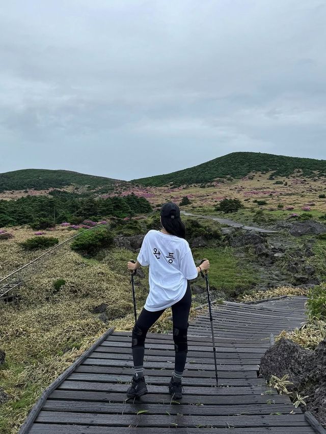 /사진=프로미스나인 노지선 인스타그램