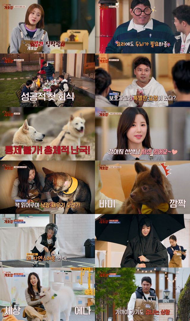 사진=JTBC ‘집 나가면 개호강’