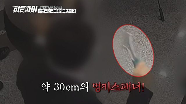 /사진=히든아이