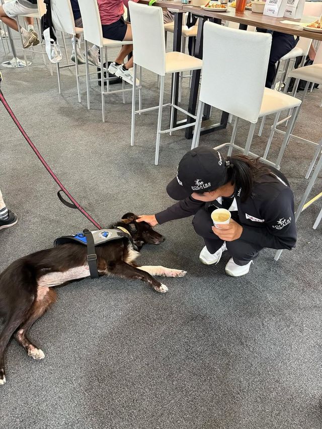 /사진=윤이나 인스타그램