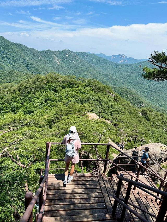 /사진=이시영 인스타그램