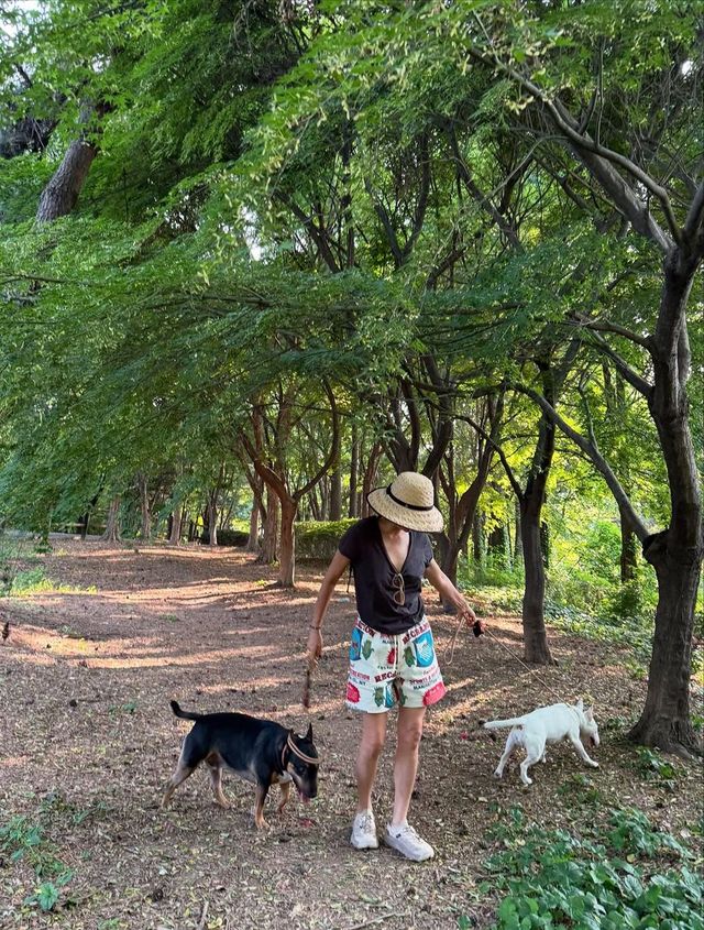 /사진=이혜영 인스타그램