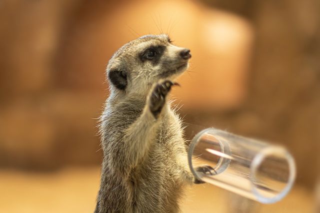 /사진=제주신화월드