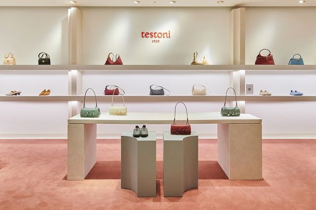 /사진=테스토니