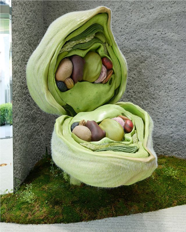 /사진=아더에러