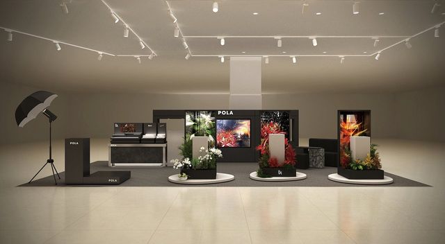 /사진=폴라