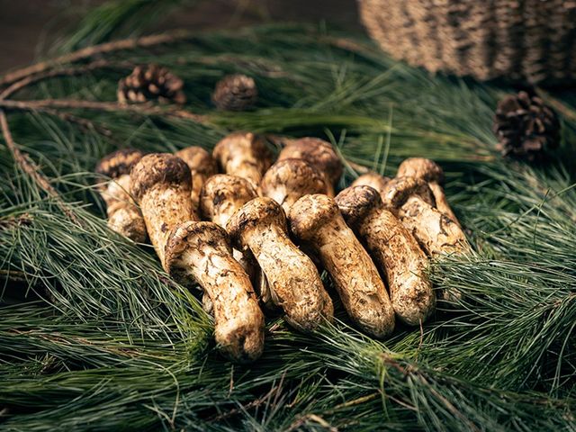 /사진=앰배서더서울풀만