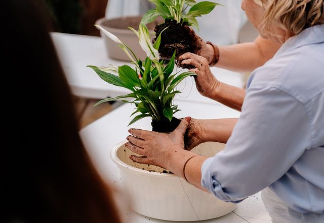 /사진=포르투갈 복합문화지구 WOW