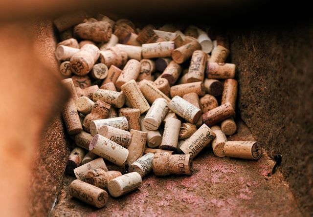 /사진=포르투갈 복합문화지구 WOW