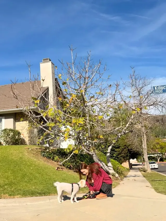 반려견과 여유로운 한때 | 캘리포니아 햇살보다 눈부신 이다해의 미소 /사진=이다해 인스타그램